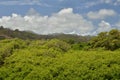 Grenada landscape caribbean Green Island Jungle nature