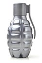Grenade. Royalty Free Stock Photo