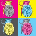 Grenade brain vector illustration Royalty Free Stock Photo