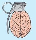 grenade brain vector illustration Royalty Free Stock Photo