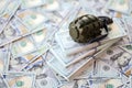 Grenade with a check against the background of huge amount of american dollar bills