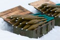 Grenade launcher ammunition Royalty Free Stock Photo