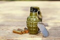 Grenade with shells and dog tag Royalty Free Stock Photo