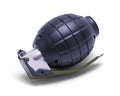 Grenade on Side Royalty Free Stock Photo