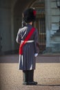 Grenadier guard wearing winter greatcoat Royalty Free Stock Photo