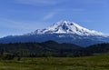 Grenn Meadow and snow mountain with blue sky. Mount Shasta Royalty Free Stock Photo