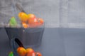 Grenn orange and red Organic tomatoes in a dark blue basket