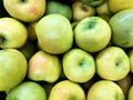Grenny Smith apple, apples, sweet, sour, tasty and juicy delicious yellow, green colored fruit, fresh, raw, and ripe, food Royalty Free Stock Photo