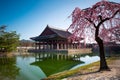 Greonohoeru Pavilion in Gyeongbokgung Palace with Cherry blossoms, Seoul, South Korea Royalty Free Stock Photo