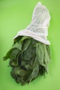 gresh green spinach in cotton white bag Royalty Free Stock Photo