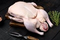 Gressingham duck ready to cook with herbs, on black wooden table background