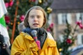 Greta Thunberg meet italian activists against climate change