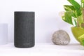 Grey Amazon Alexa Echo in a living room on a white wooden shelf next to a plant and zen decoration. Empty copy space