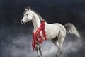 Grey arabian horse portrait in national decorations Royalty Free Stock Photo