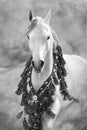 Grey arabian horse portrait in national decorations