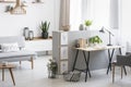 Grey armchair at desk with plant and lamp in flat interior with wooden table next to couch. Real photo Royalty Free Stock Photo