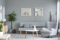Grey armchair next to table and couch in living room interior with paintings and plant. Real photo Royalty Free Stock Photo