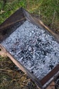 Grey ash after burning wood branches in iron brazier after cooking barbeque, burning firewood. Charcoal inside on green Royalty Free Stock Photo