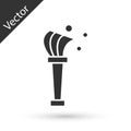 Grey Aspergillum icon isolated on white background. Vector