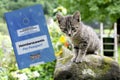 Pet Passport with Cat Royalty Free Stock Photo