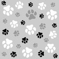 Dog paw. Grey background and black/white dog tracks. Pattern with traces. Royalty Free Stock Photo