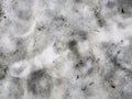 Grey background with texture of dirty snow Royalty Free Stock Photo