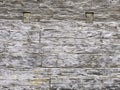 Grey barn wooden wall texture. old shabby background