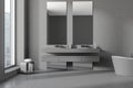 Grey bathroom interior with sinks and tub, accessories and window Royalty Free Stock Photo