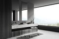 Grey bathroom interior with washbasins and accessories, panoramic window