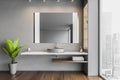 Grey bathroom, sink and big mirror with shelves