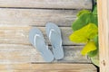 Grey beach sandles on a sunny beach boardwalk Royalty Free Stock Photo