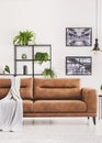 Grey blanket on brown leather sofa in bright modern apartment with industrial posters on the wall and plants Royalty Free Stock Photo