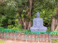 Grey blue statue of buddha under a pipal tree. meditation concept