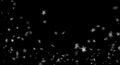 Grey bokeh Overlays, bokeh stars, black and white, blurred, on a black background, cluster of stars