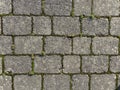 Grey Brick Wall with Green Moss