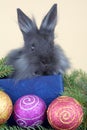 Grey bunny and christmas decorations