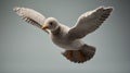 Gray Knitted Seagull Toy - Photorealistic Crocheted Bird