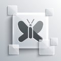 Grey Butterfly icon isolated on grey background. Square glass panels. Vector