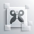 Grey Butterfly icon isolated on grey background. Square glass panels. Vector