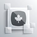 Grey Canadian maple leaf icon isolated on grey background. Canada symbol maple leaf. Square glass panels. Vector Royalty Free Stock Photo