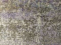 Grey carpet pattern very nice as a background texture Royalty Free Stock Photo