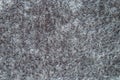 Grey carpet texture Royalty Free Stock Photo