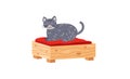 A grey cartoon cat sitting atop a red cushion on a wooden stool. Cute pet resting on furniture vector illustration Royalty Free Stock Photo