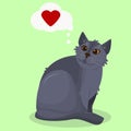 grey cat breed british thinks about love