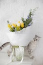 Cat and beautiful yellow blue bouquet Royalty Free Stock Photo