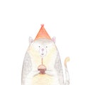 Grey cat in a cap with a cupcake and candle. Happy Birthday watercolor card on white background