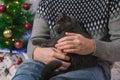 The grey cat chartreux lies in the arms of man in a Santa hat. A cat on the background of a Christmas tree, garlands Royalty Free Stock Photo