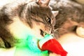 Grey cat is playing with toy snowman. Royalty Free Stock Photo