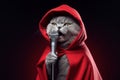 A grey cat in a red cape sings into a microphone on stage