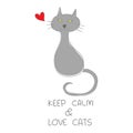 Grey cat sitting with red heart hand drawn quotes Royalty Free Stock Photo